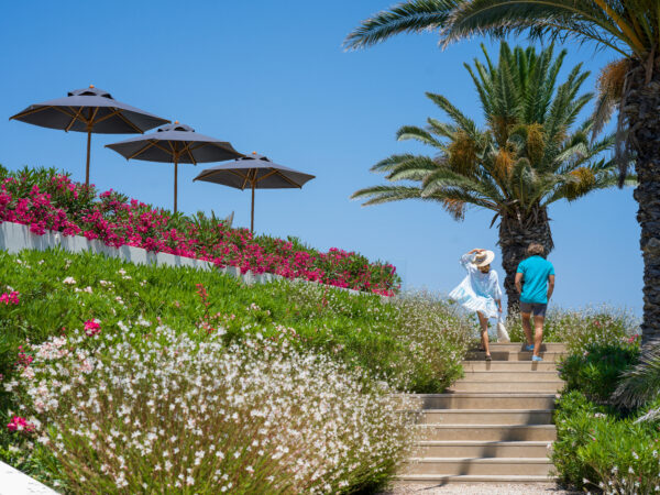 NOUS Santorini – Gardens (2)
